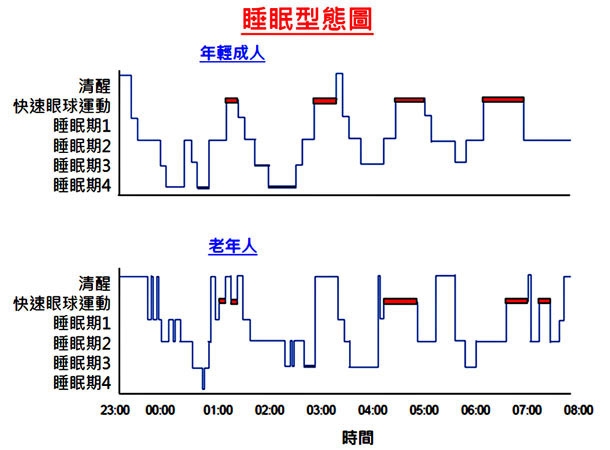 <<天使降臨>>床的世界好好睡心得分享<<舒曼波>>