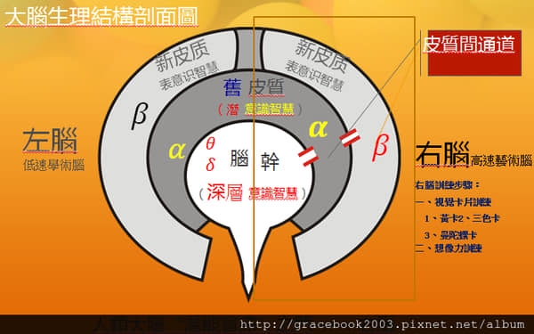 <<天使降臨>>床的世界好好睡心得分享<<舒曼波>>