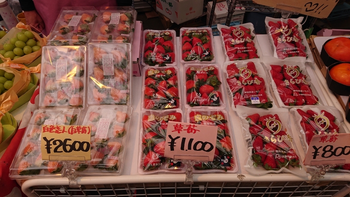 (圖多注意!) 帶著SONY XZ3東京走跳拍攝