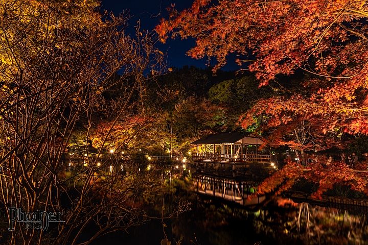 『D750、D800』回顧十選(10P、LR)