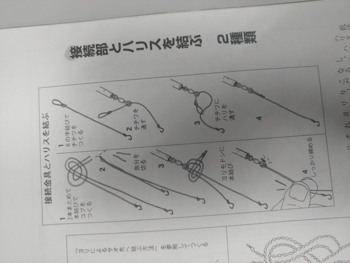 鯽魚新手~入門仕掛分享