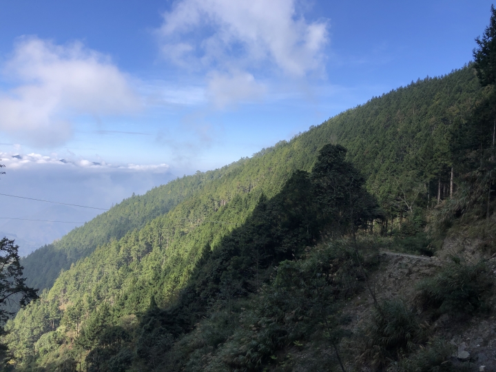 人倫林道-前後避初體驗