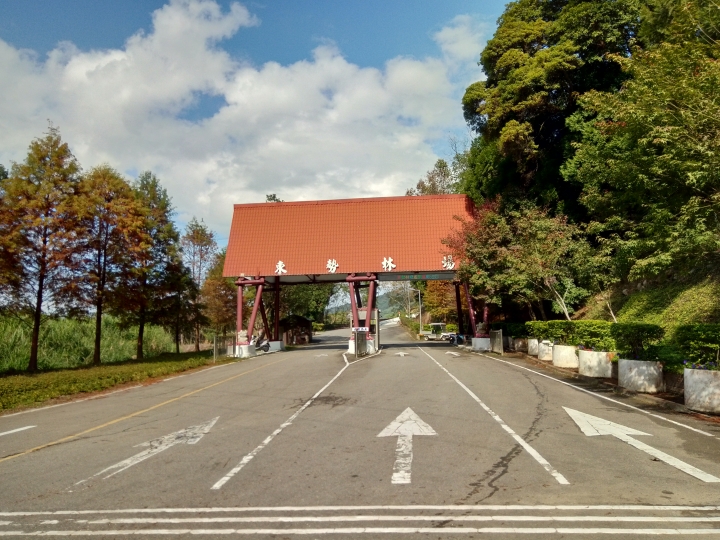 尋楓記-東勢林場續章