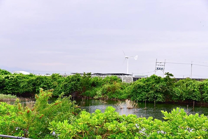 Z6隨拍屏東縣文心蘭推手、神農獎得主:竹田鄉天使花園