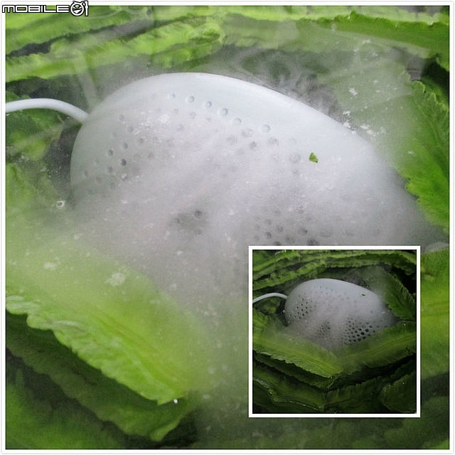 (開箱)【品感覺】Washwow Pro - 蔬果清洗機~自動式洗去99.8%農藥殘留。
