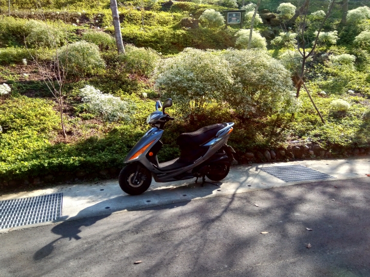 尋楓記-東勢林場續章