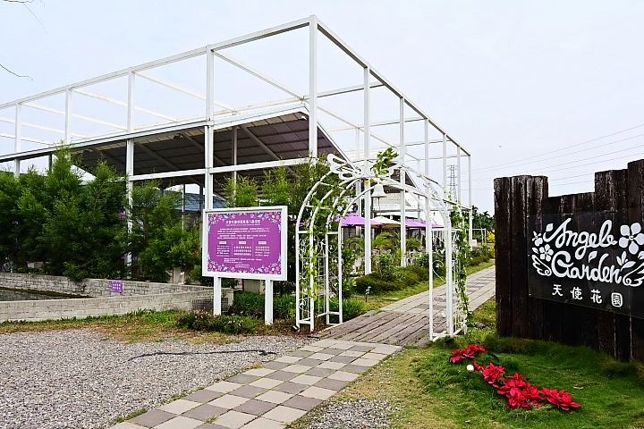 Z6隨拍屏東縣文心蘭推手、神農獎得主:竹田鄉天使花園