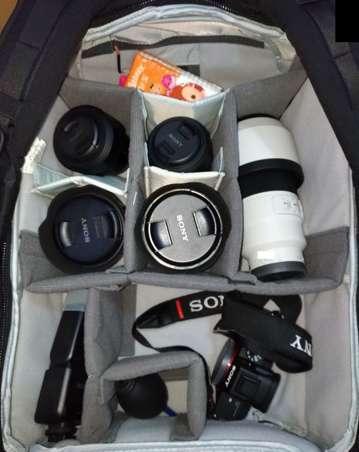 Lowepro ProTactic BP 450 AW II 雙肩後背包 開箱,使用心得