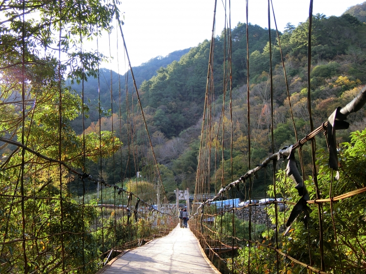尖石鄉秀巒村,控溪吊橋/軍艦岩吊橋楓紅美景