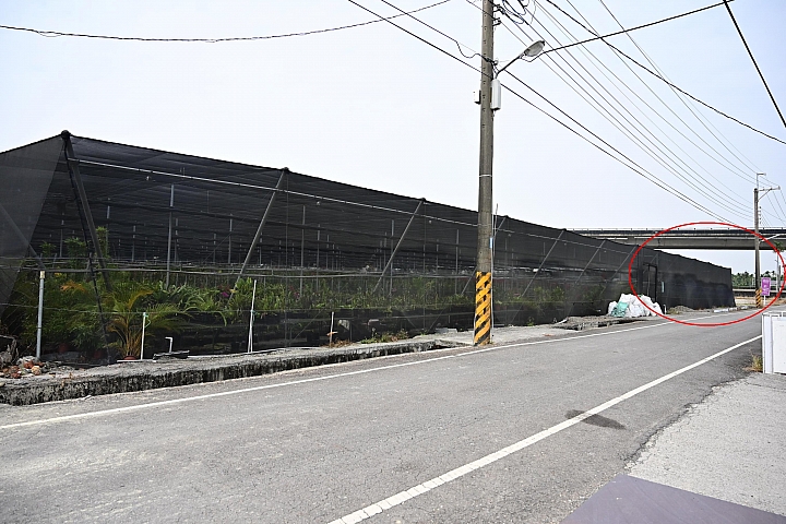 Z6隨拍屏東縣文心蘭推手、神農獎得主:竹田鄉天使花園