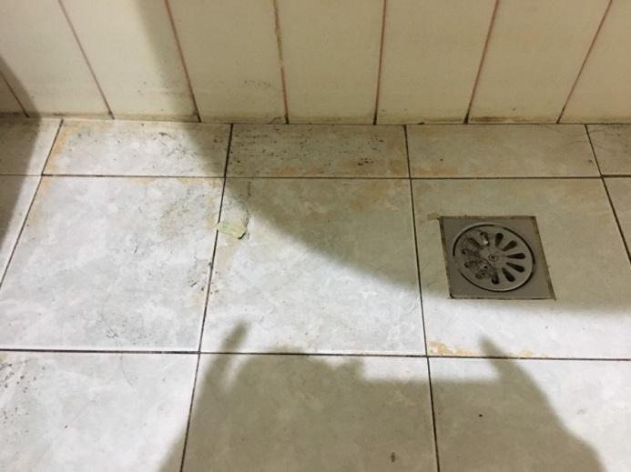 蒸氣清洗機開箱挑戰part2