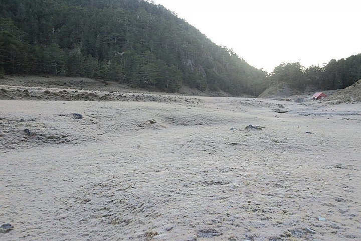 逆走馬博橫斷(欠盆駒)