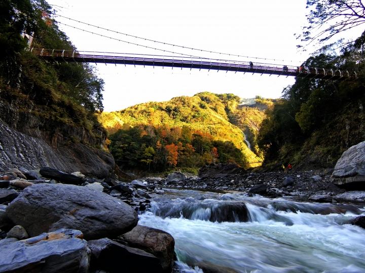尖石鄉秀巒村,控溪吊橋/軍艦岩吊橋楓紅美景