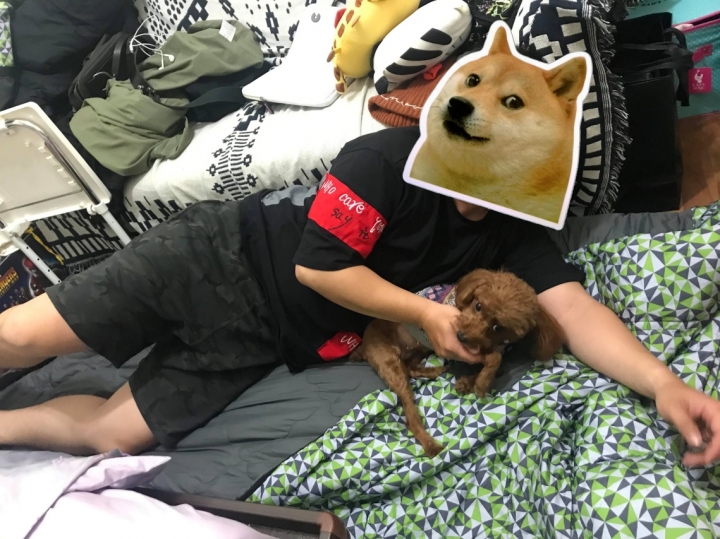 要帶寵物冬天露營~請教過來人經驗