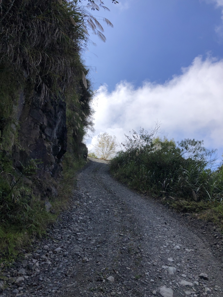 人倫林道-前後避初體驗