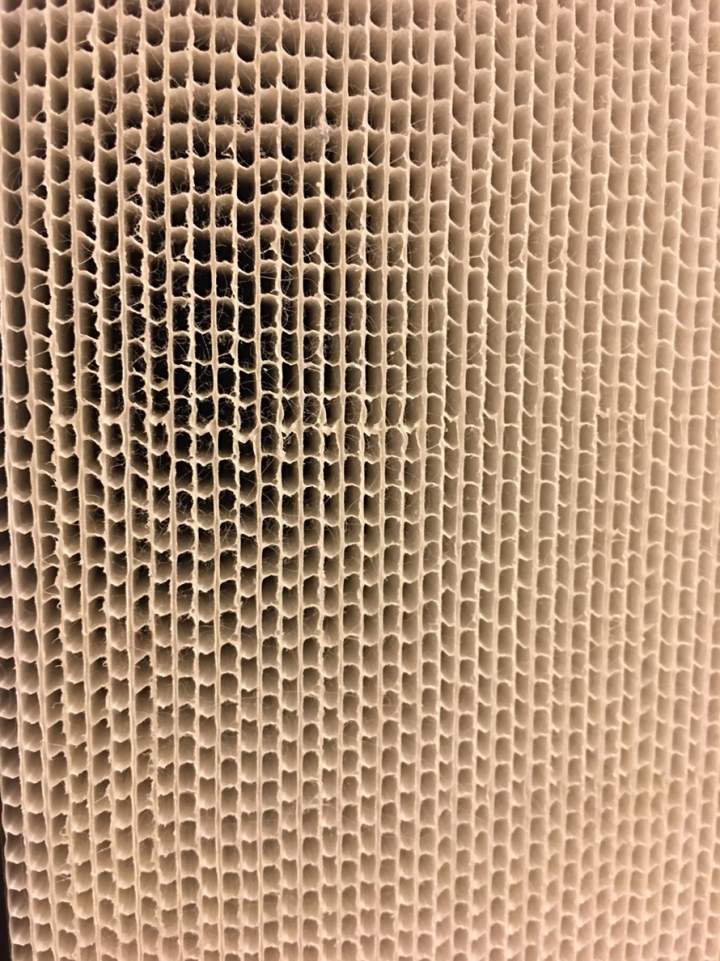 Braun SensorAir用三個月心得分享
