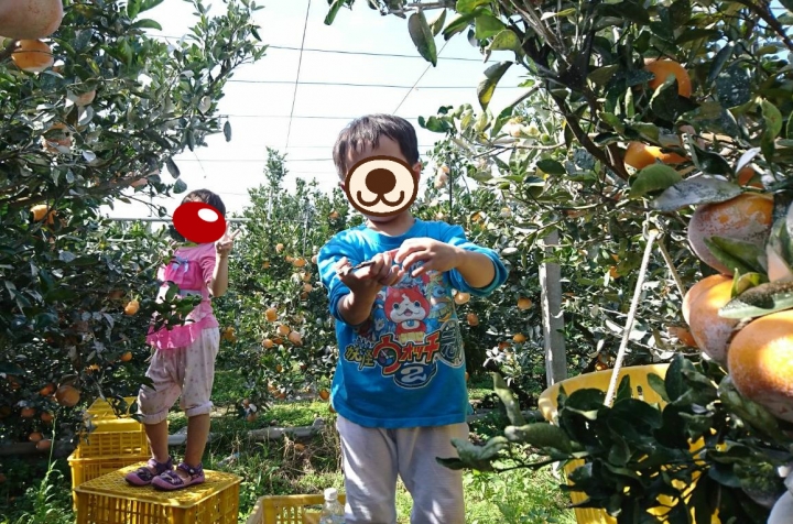 用小朋友照片來印2019月曆~