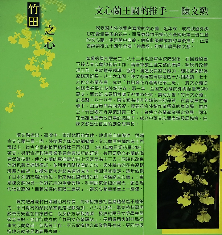 Z6隨拍屏東縣文心蘭推手、神農獎得主:竹田鄉天使花園
