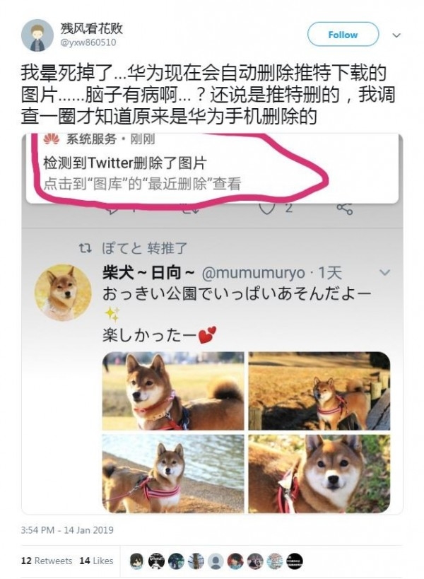 中國網友下載推特圖片消失, 疑華為手機自動刪除
