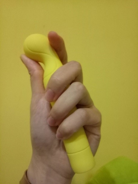 遠距離的情人玩物