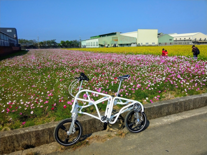 小折向前衝-2019花現龍井