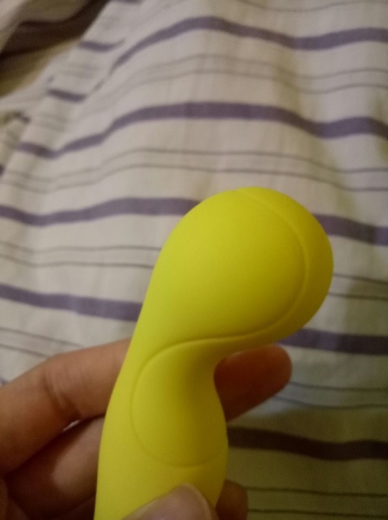 遠距離的情人玩物