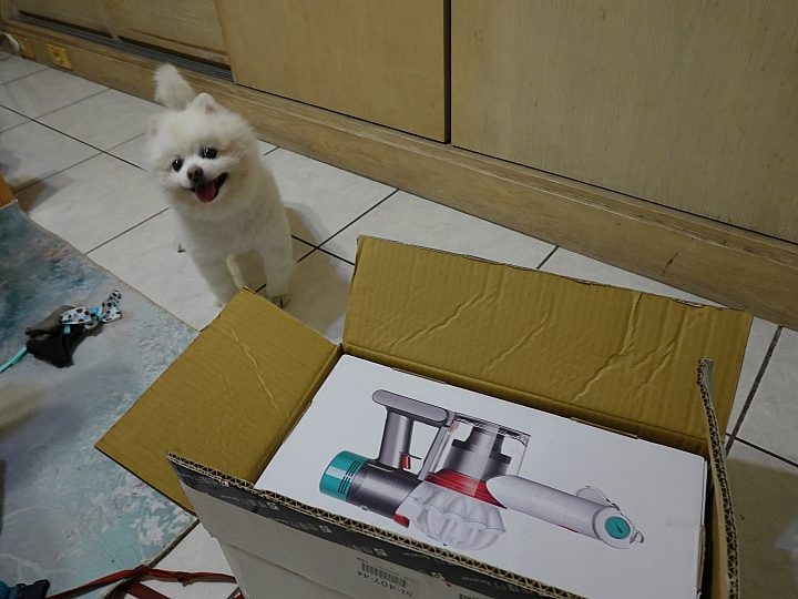 <Dyson V7 mattress> 手持無線除蟎吸塵器 戴森狠行 塵蟎無所遁形