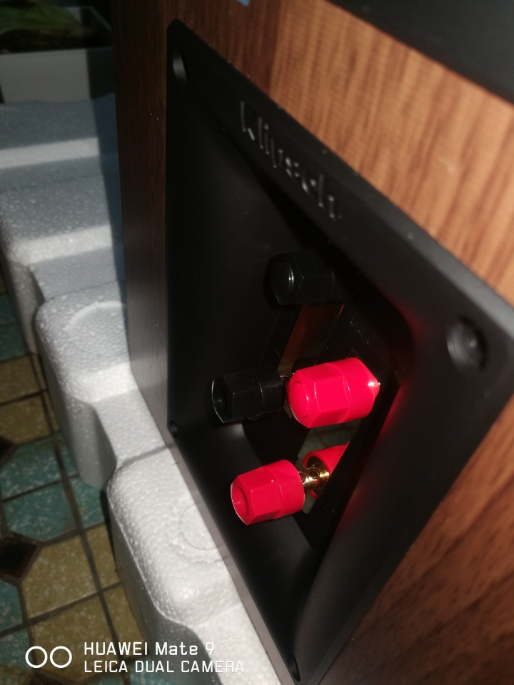 請問Klipsch RP-600M可以同時接AV和綜合擴大器嗎?!?!