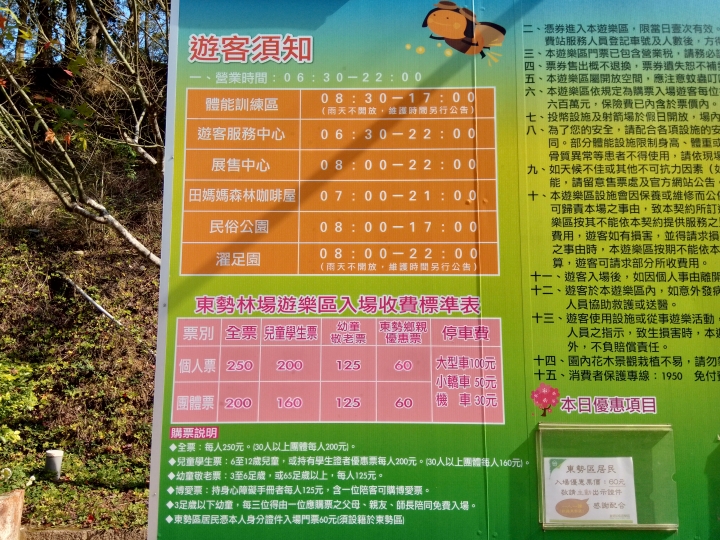 尋楓記-東勢林場續章