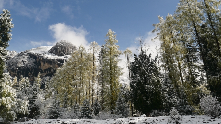 出國旅遊 - 雪景拍攝