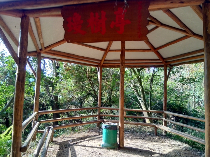 尋楓記-東勢林場續章