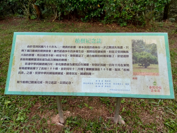 尋楓記-東勢林場續章