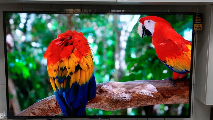 SONY KD-55X7500F不專業開箱
