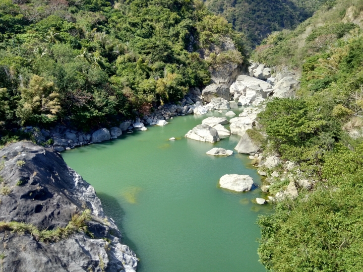 賞花之旅-台中某山地
