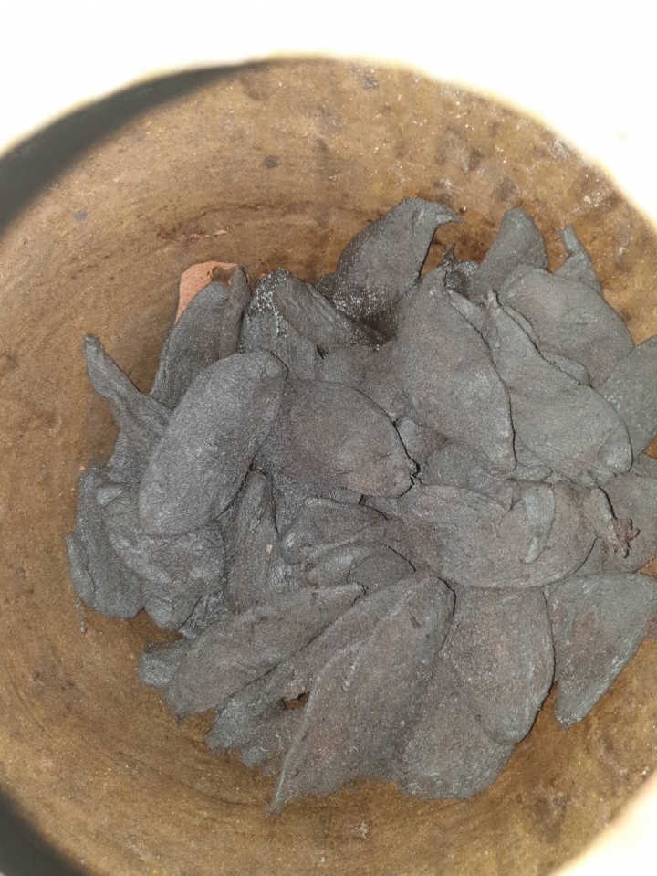 歲月熟成的美麗滋味~黑金