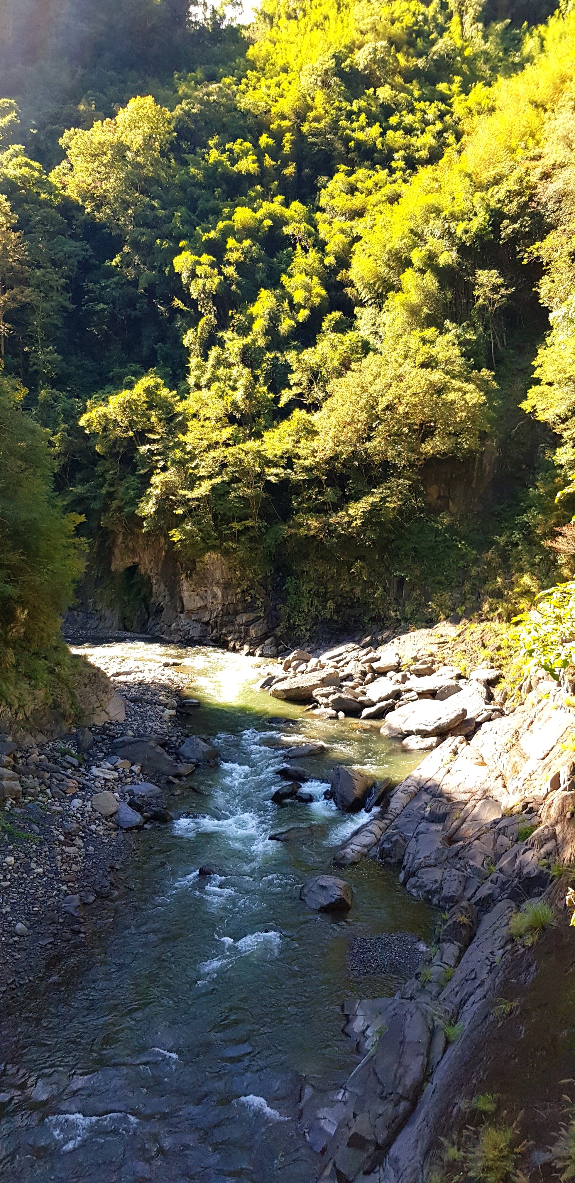 當年環島三妹的司馬庫斯之旅(什麼爛標題XD)