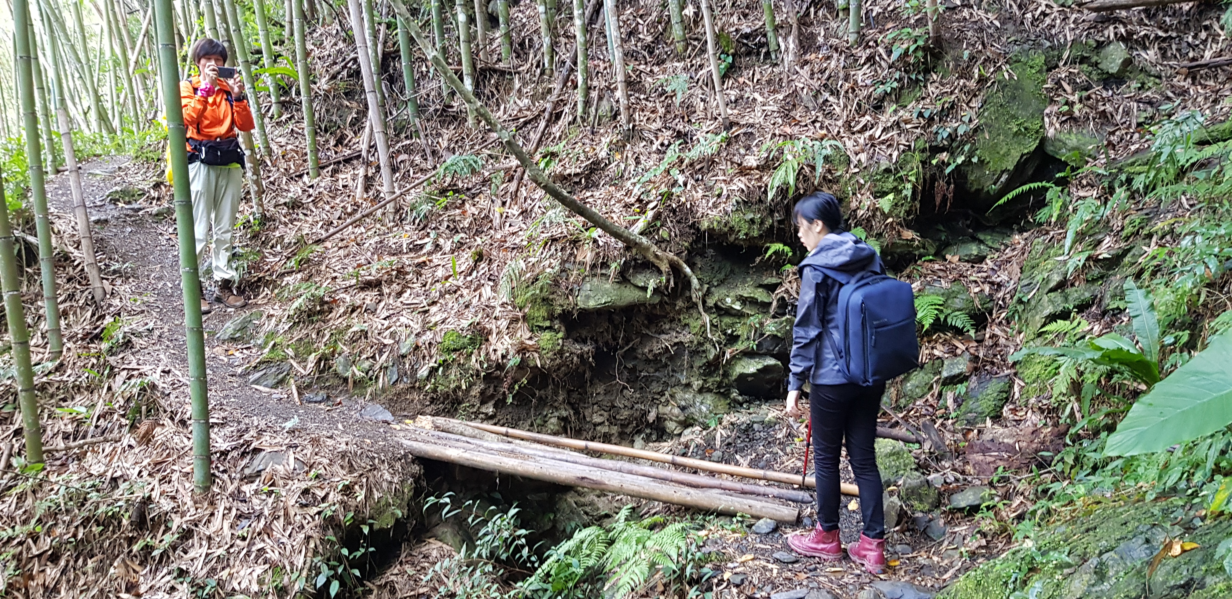 當年環島三妹的司馬庫斯之旅(什麼爛標題XD)