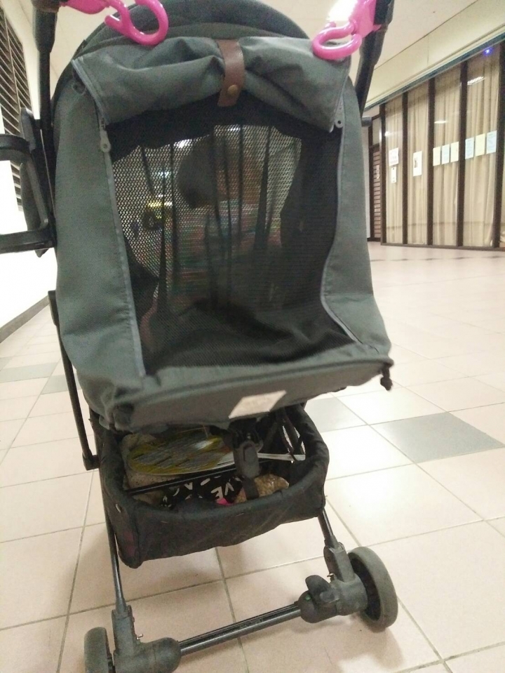Elenire Sesto Lite推車分享