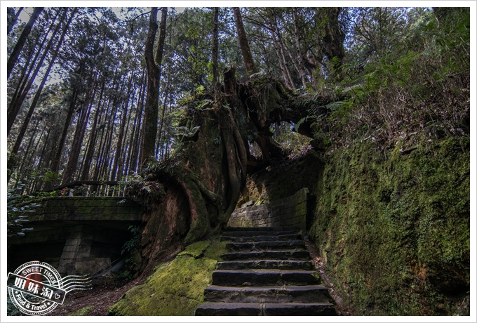 阿里山森林遊樂區之二