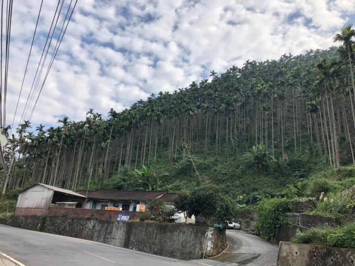 台3線台北墾丁行