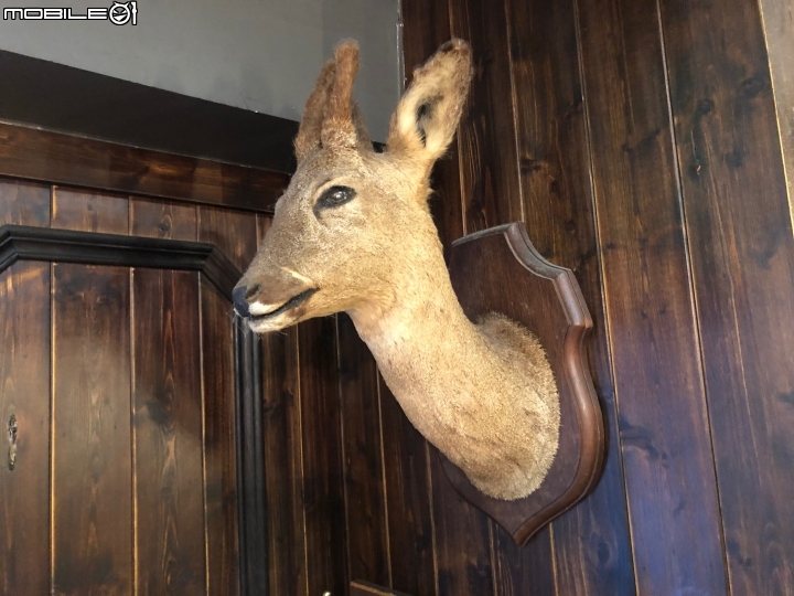 【開箱】關於墨子 — 藏身於髮廊後的酒吧