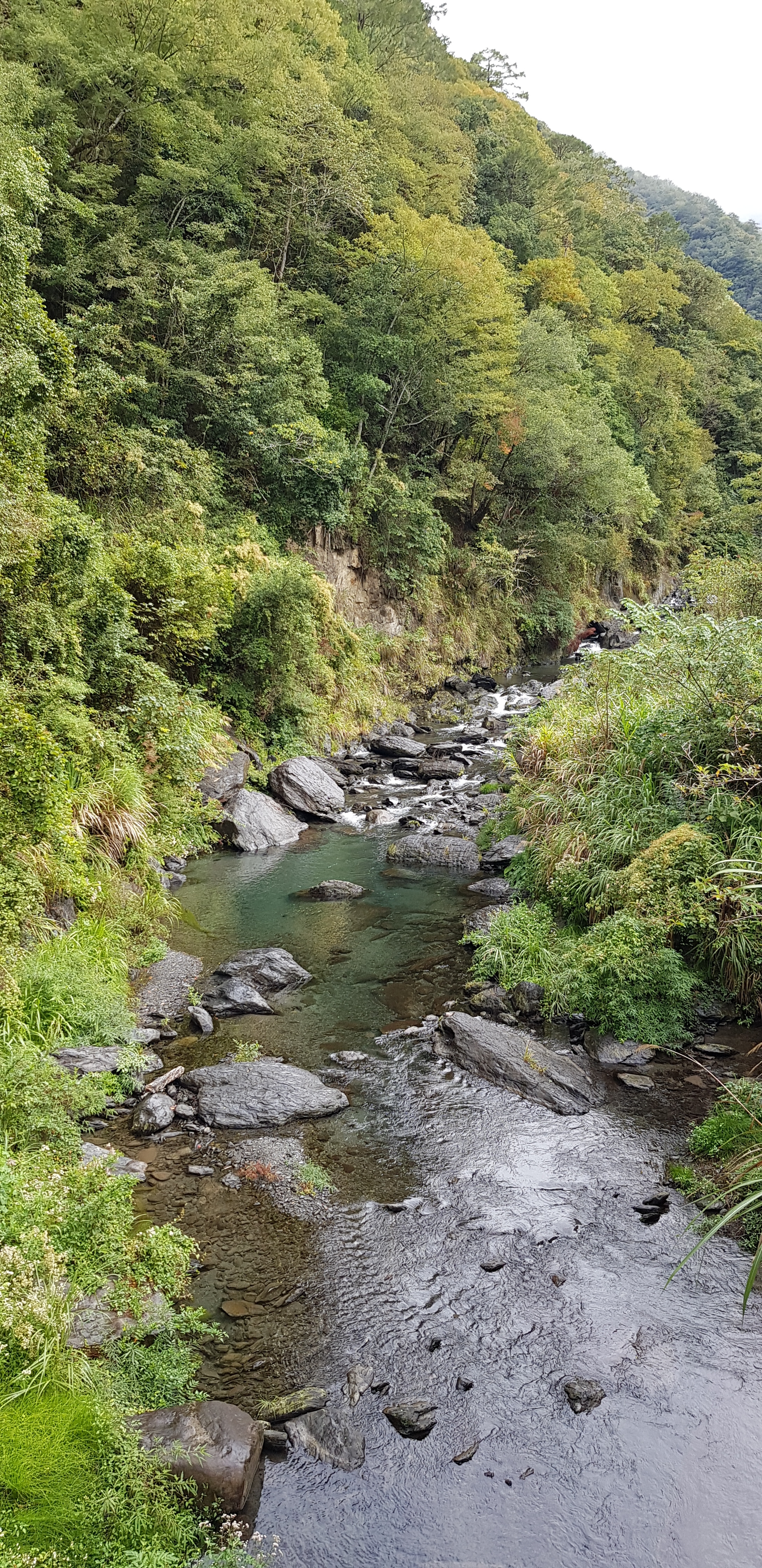 當年環島三妹的司馬庫斯之旅(什麼爛標題XD)