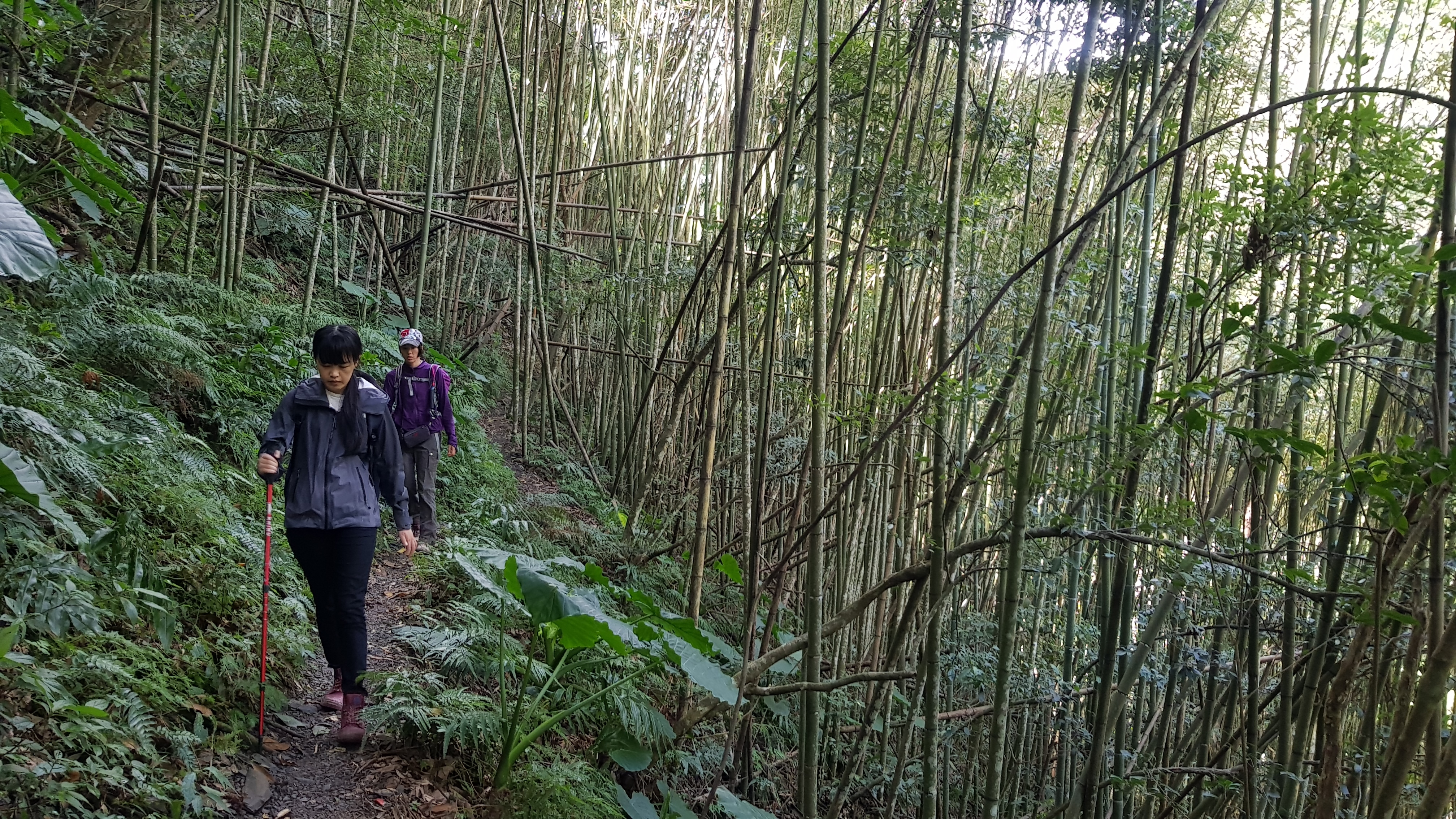 當年環島三妹的司馬庫斯之旅(什麼爛標題XD)