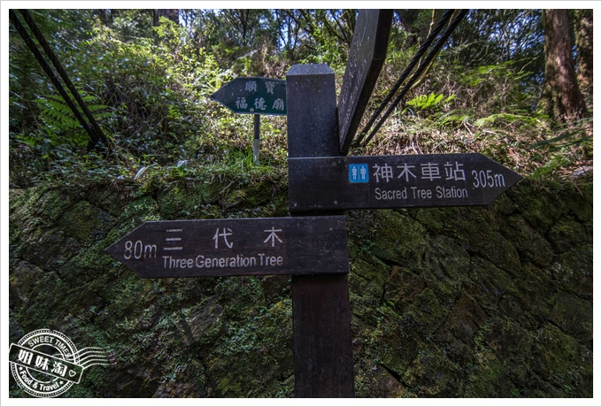 阿里山森林遊樂區之二