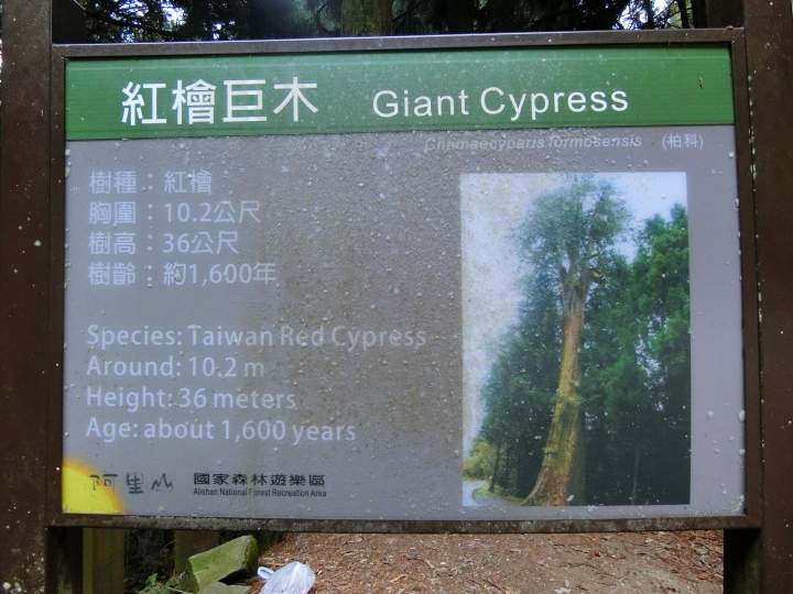 台18線全線,塔塔加下山沿途紀實