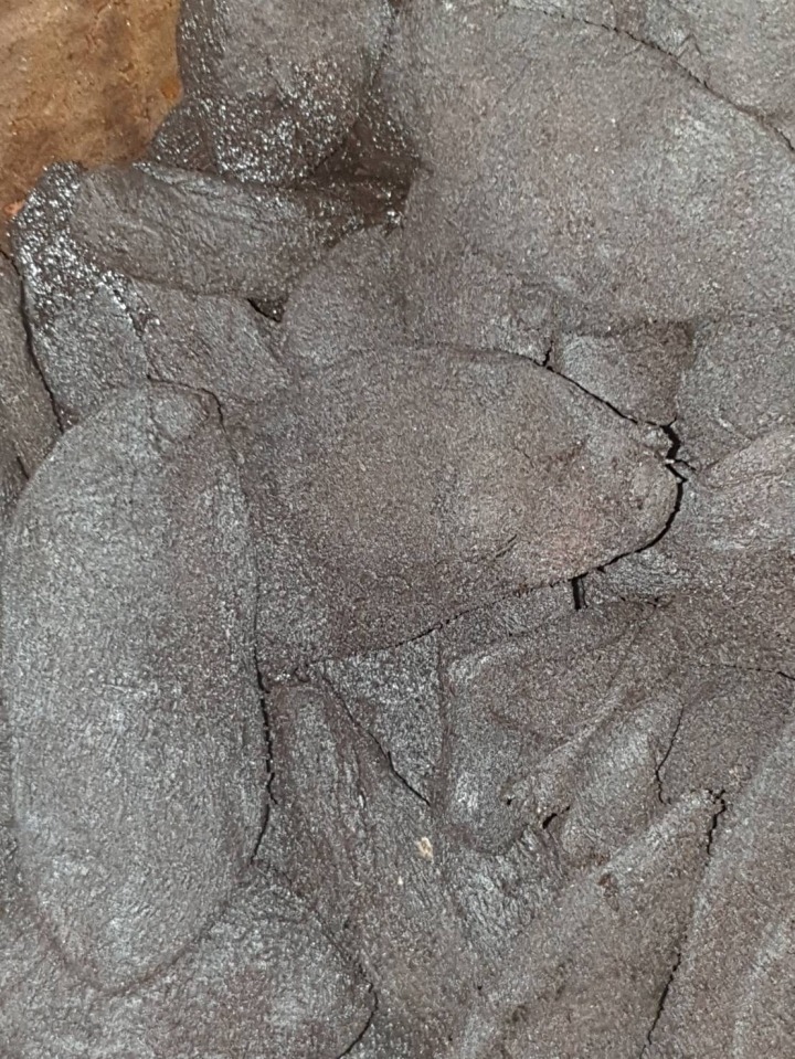 歲月熟成的美麗滋味~黑金