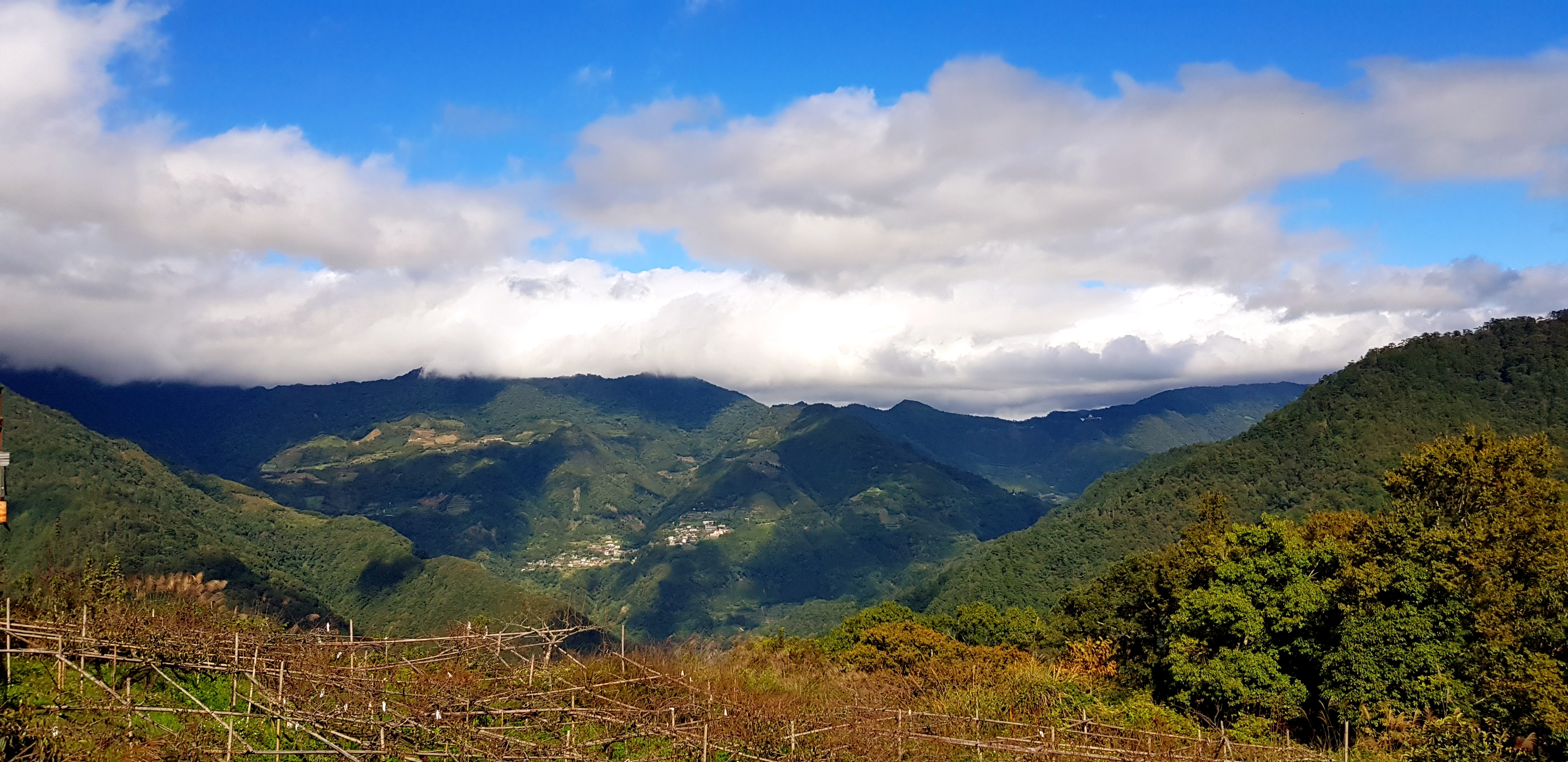 當年環島三妹的司馬庫斯之旅(什麼爛標題XD)