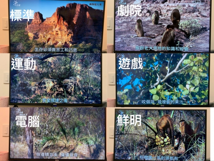 取之01回饋01,BENQ-C32-500宅女工程師開箱
