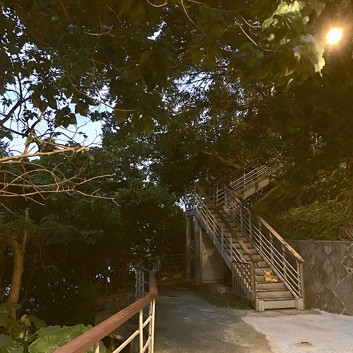 寶藏巖遊記 小露台相機市集(一日限定版)2019/03/16
