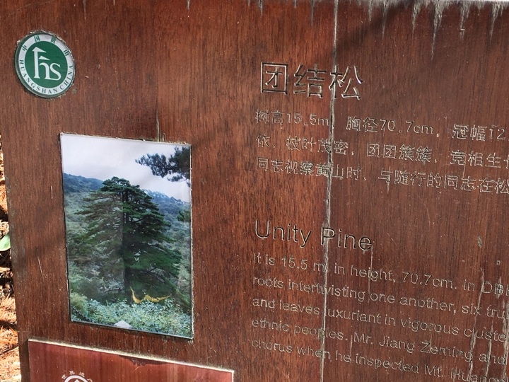 冬 遊 黃 山   美 好 安 徽